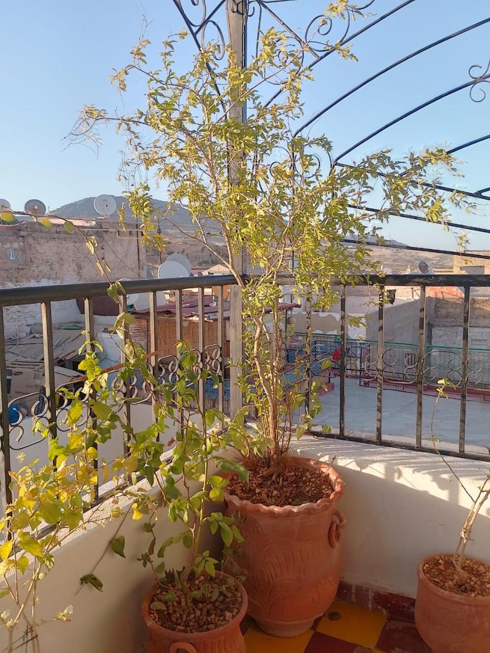 פס Riad Drissia Panoramic מראה חיצוני תמונה